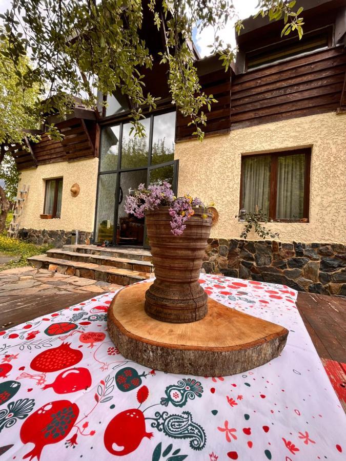 Hotel Ioska'S House Mestia Exteriér fotografie